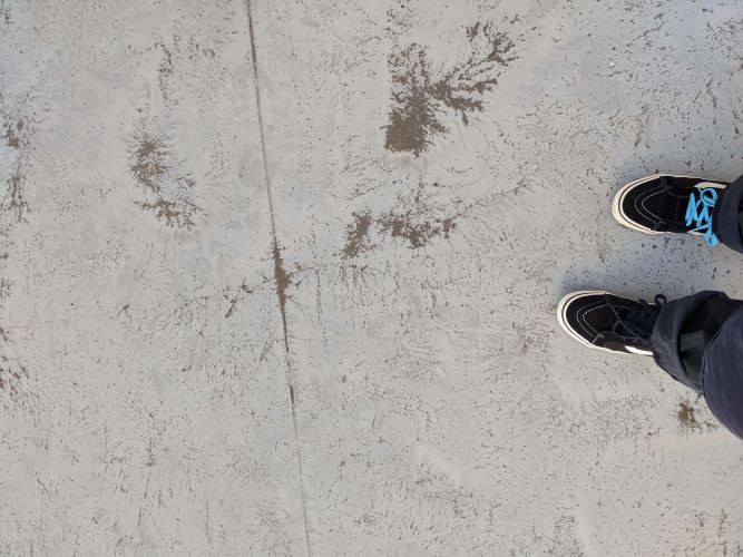 Yuichi Nakashima Profile